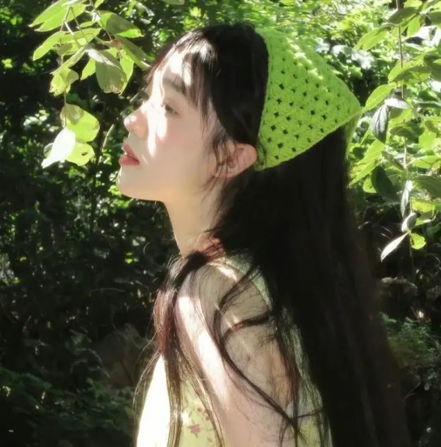 使君有妇